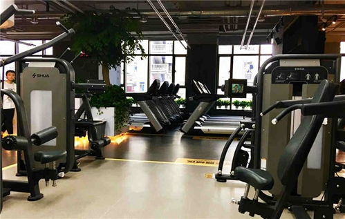 探秘襄阳舒扬文体 户外健身器材如何塑造城市健康新生态