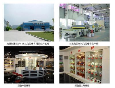 双鱼201乒乓球桌 可折叠移动的专业训练球台，坚固耐用的全民运动之选